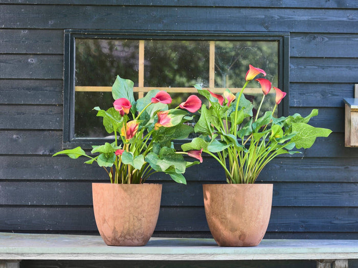 Artstone Bloempot Bola - 55x45 - Grijs