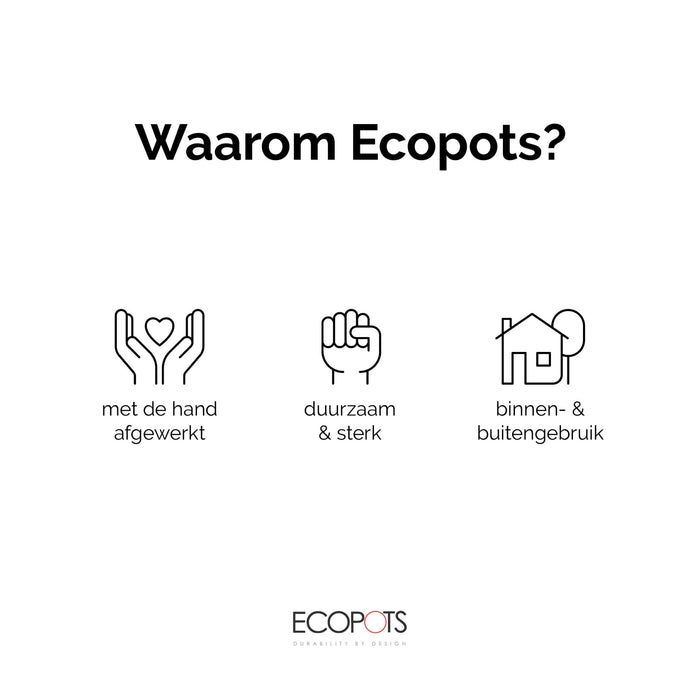 d2fc0e9e-c9db-4606-8bc1-d6cb9e9d63c5-afbeelding8.jpg (8088471) 
