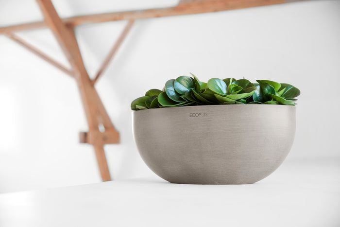 Ecopots Sofia Big 43  Taupe
