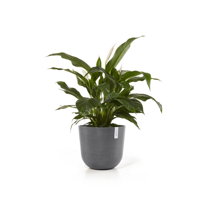 Ecopots Oslo 45 + Water Reservoir Grey
