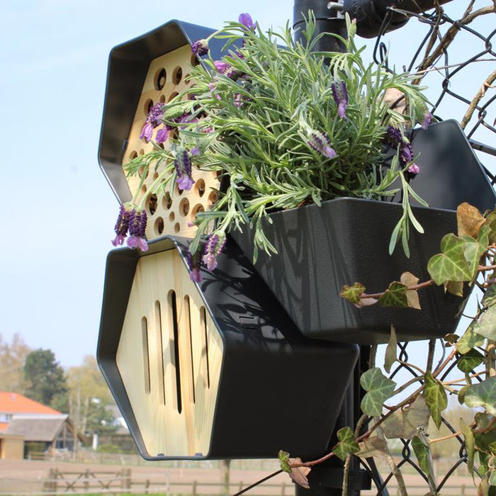 Capi Europe Biodiversity Bijenhotel - Antraciet