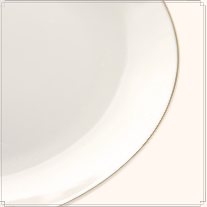 OTIX Dinerborden Borden Set van 6 Stuks 26cm Wit met Gouden rand Po...