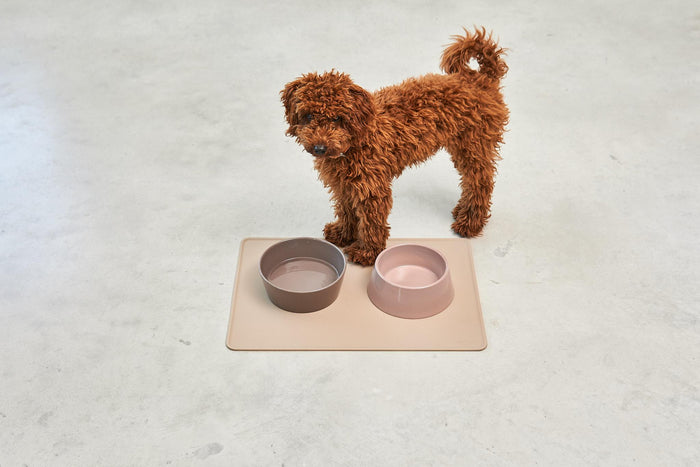 MiaCara Tova honden placemat small slate