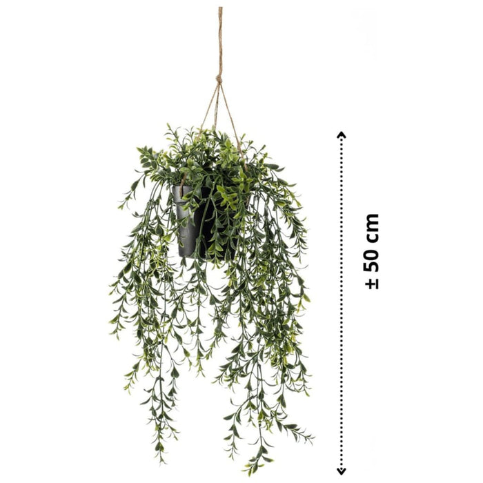 Emerald Kunstplant boxwood