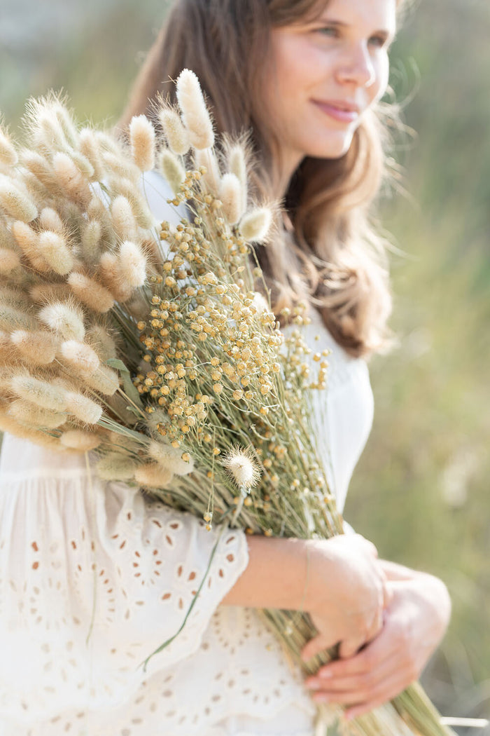 J-Line droogbloemen Hazenstaart - droog bundel pluim - naturel
