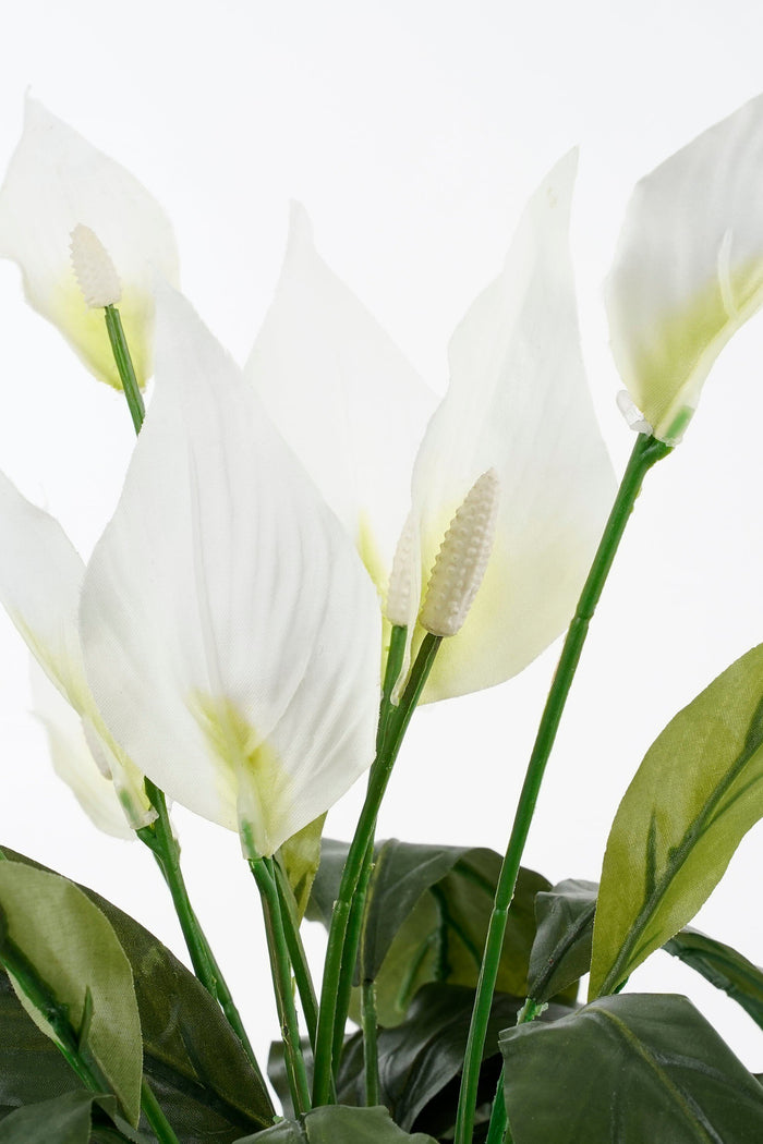 Mica Decorations Spathiphyllum Kunstplant - H50 x Ø40 cm - Wit