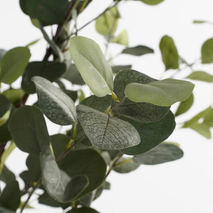 Mica Decorations Kunstplant Eucalyptusboom in Pot - H180 x Ø80 cm