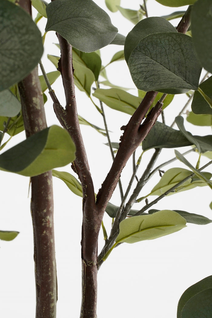 Mica Decorations Kunstplant Eucalyptusboom in Pot - H180 x Ø80 cm