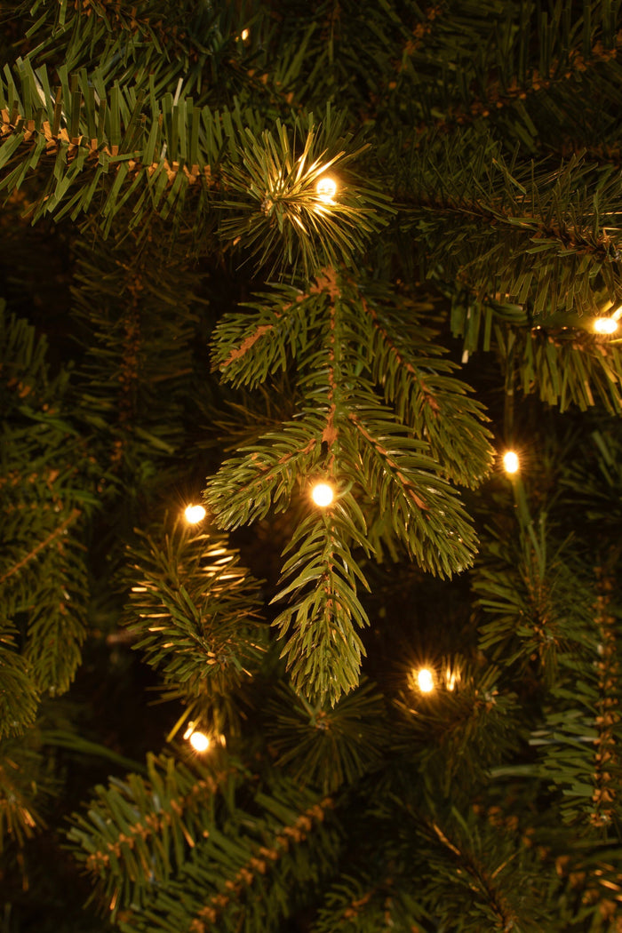 Black Box Trees Harma Kunstkerstboom met Verlichting - H185 x Ø63 cm