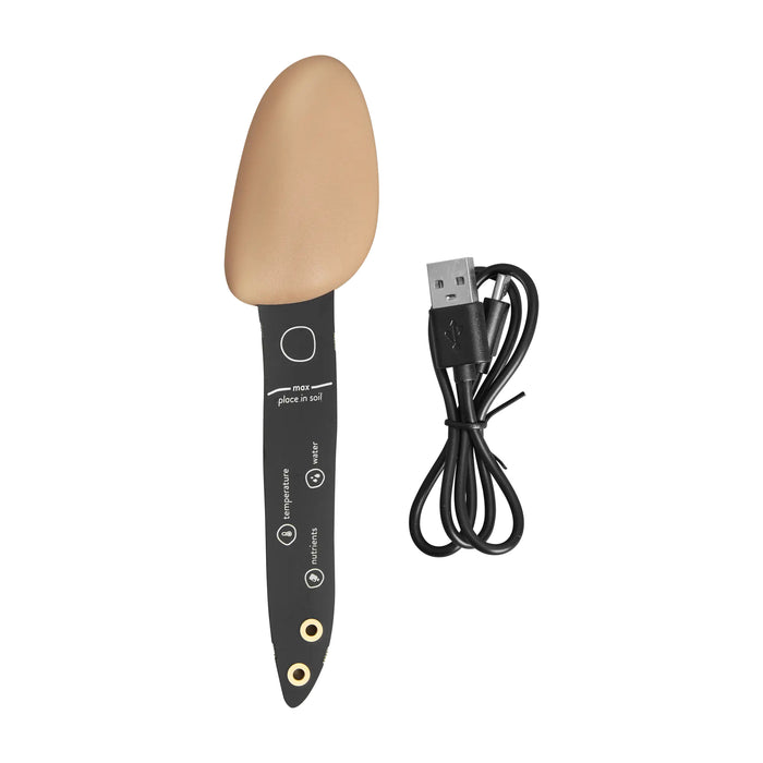 smart_pebble.e1_kopie.jpg (9809342) 