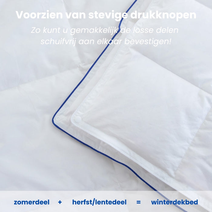 Fabiola - Zwaar Dons 4-Seizoenen Dekbed - 240x200cm